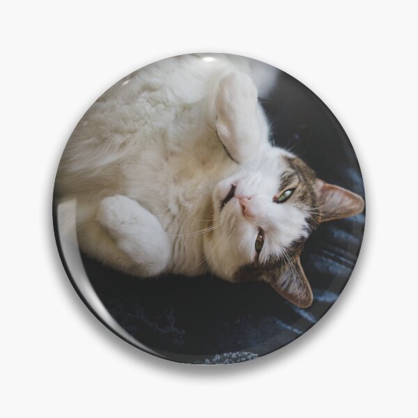 Item preview, Cat Lying On Back On Leather Couch Cutest Cat Pics designed and sold by CutestCatPics.