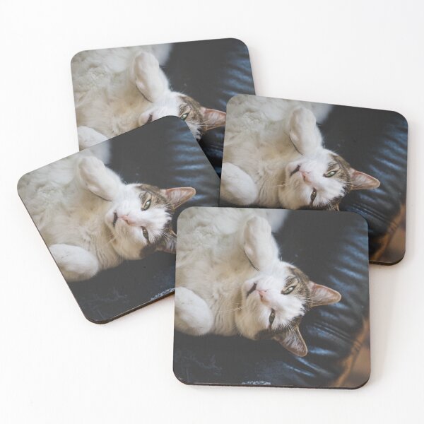 Item preview, Cat Lying On Back On Leather Couch Cutest Cat Pics designed and sold by CutestCatPics.