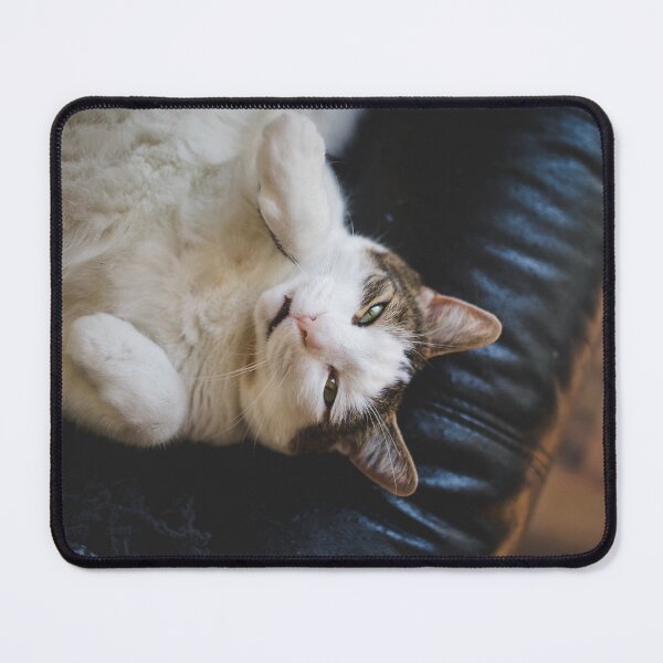 Item preview, Cat Lying On Back On Leather Couch Cutest Cat Pics designed and sold by CutestCatPics.