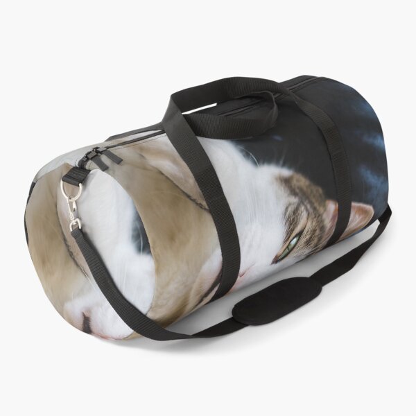 Item preview, Cat Lying On Back On Leather Couch Cutest Cat Pics designed and sold by CutestCatPics.