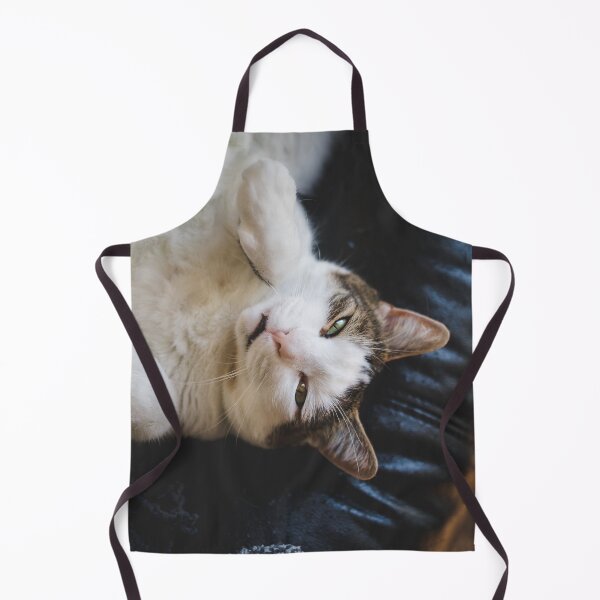 Item preview, Cat Lying On Back On Leather Couch Cutest Cat Pics designed and sold by CutestCatPics.