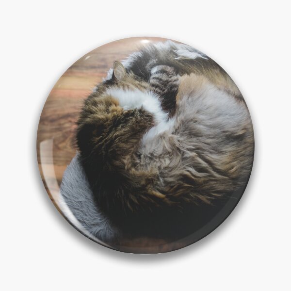 Item preview, Cat In A Circle Cutest Cat Pics designed and sold by CutestCatPics.