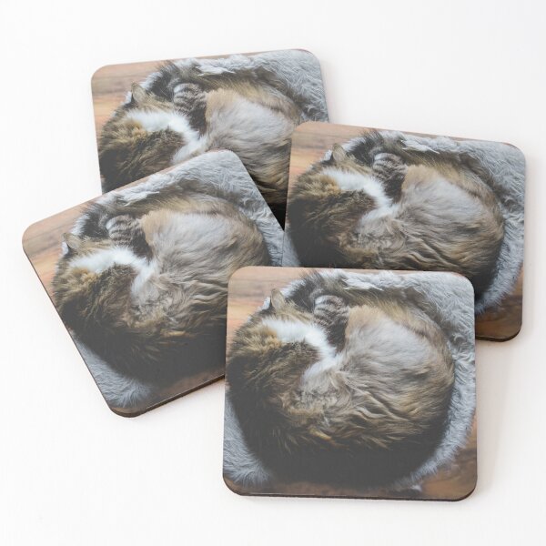 Item preview, Cat In A Circle Cutest Cat Pics designed and sold by CutestCatPics.