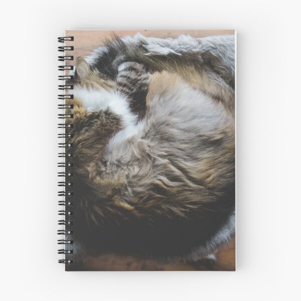 Item preview, Cat In A Circle Cutest Cat Pics designed and sold by CutestCatPics.