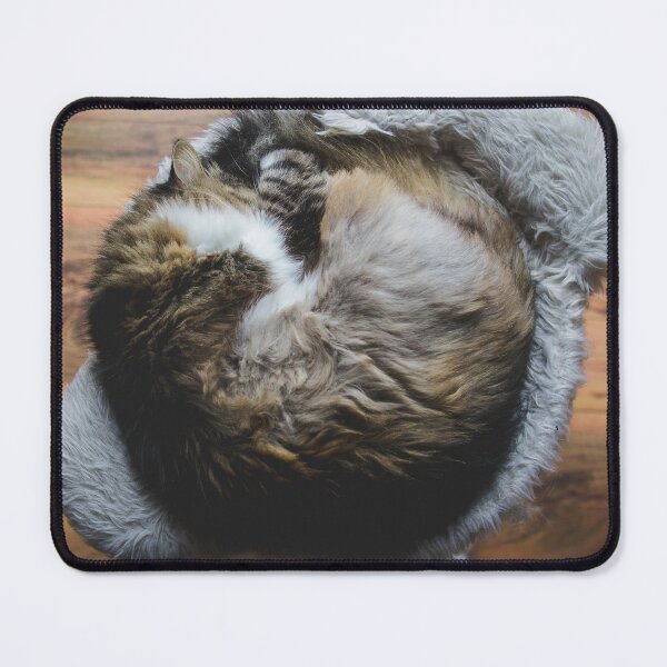 Item preview, Cat In A Circle Cutest Cat Pics designed and sold by CutestCatPics.