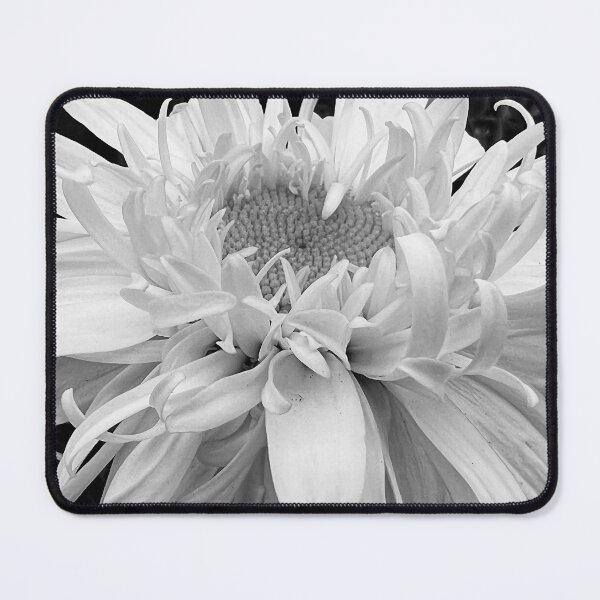 Item preview, Dahlia Brilliance designed and sold by Photomersion.