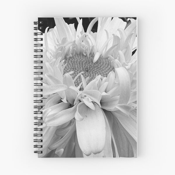 Item preview, Dahlia Brilliance designed and sold by Photomersion.