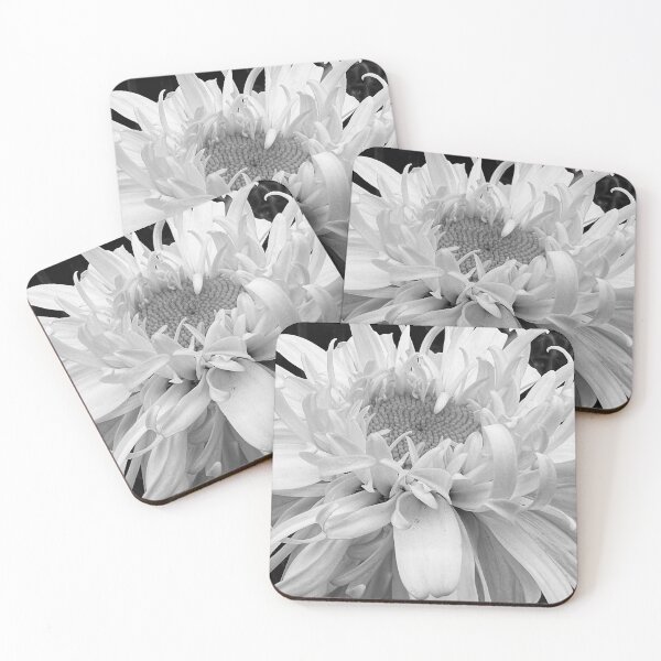 Item preview, Dahlia Brilliance designed and sold by Photomersion.