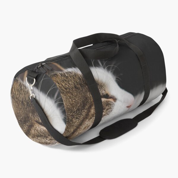 Item preview, Cat Profile Cutest Cat Pics designed and sold by CutestCatPics.