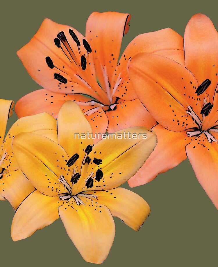 Funda y vinilo para iPad «Arte magnífico de la foto de la flor del lirio de  tigre amarillo y anaranjado.» de naturematters | Redbubble