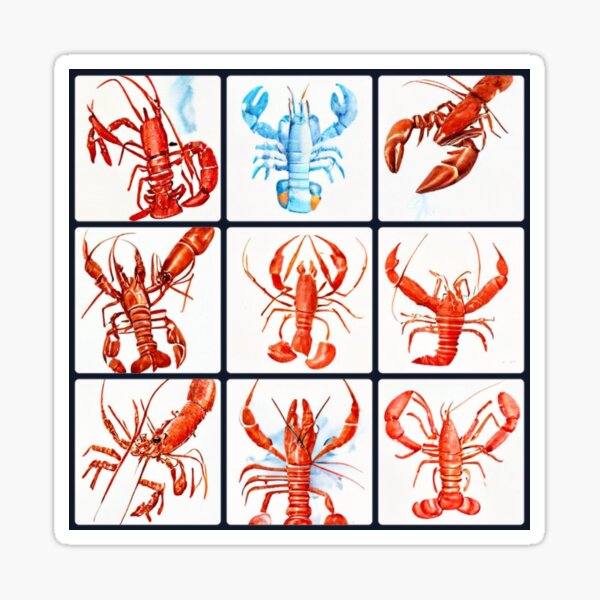 "Lobsters Pack" Sticker for Sale by CinderPress Redbubble