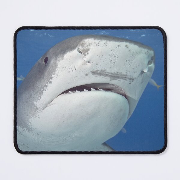 Item preview, Regal Portrait designed and sold by terry goss.