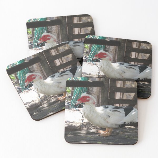 Item preview, Muscovy duck designed and sold by greentiger1.