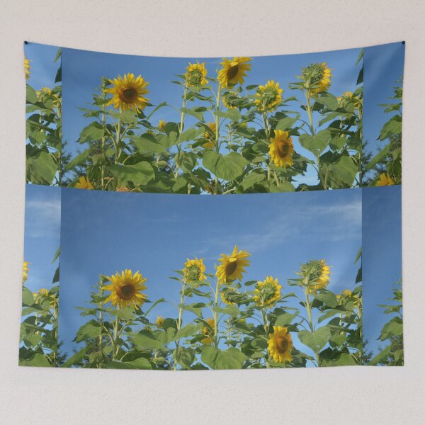 Item preview, Pretty sunflowers picture in blue sky designed and sold by naturematters.