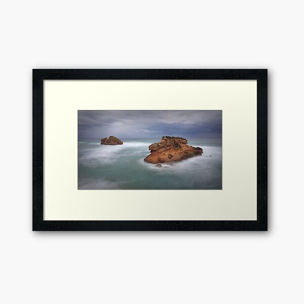 Framed Print