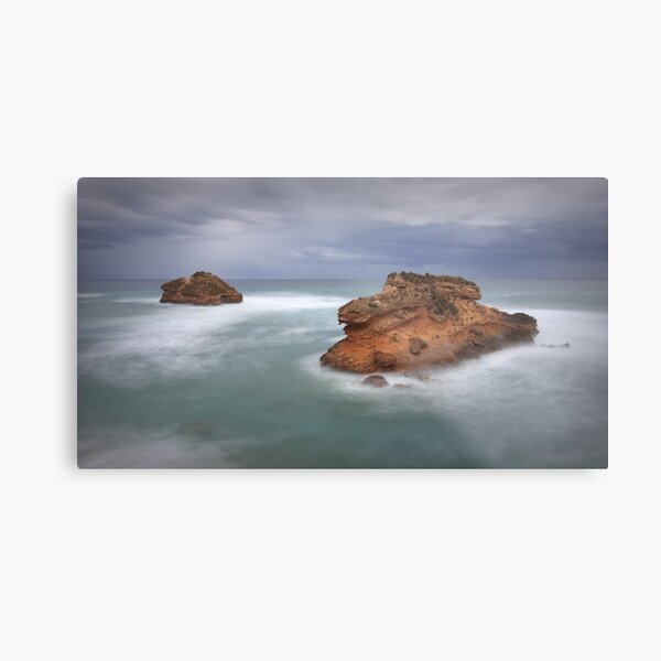 Metal Print