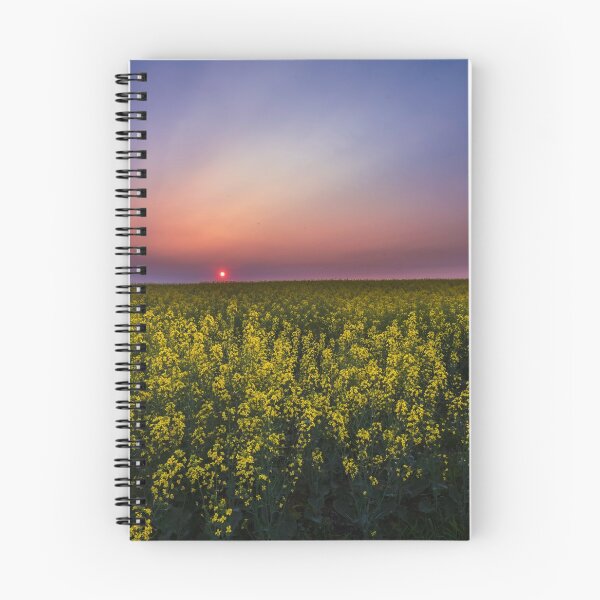 Item preview, Canola sunset designed and sold by KristaNature.