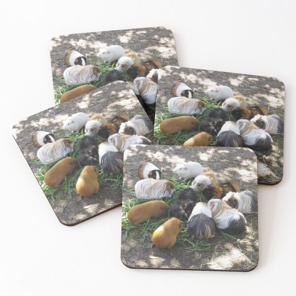 Item preview, Guinea pig party designed and sold by greentiger1.