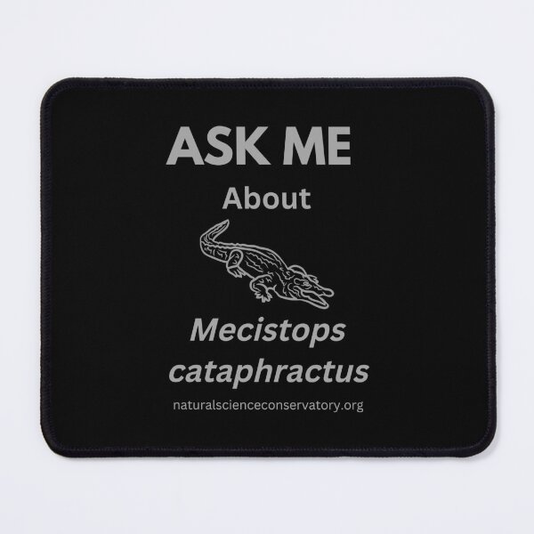 Item preview, Ask Me About Mecistops cataphractus (Slender-snouted Crocodile) designed and sold by Discovered.