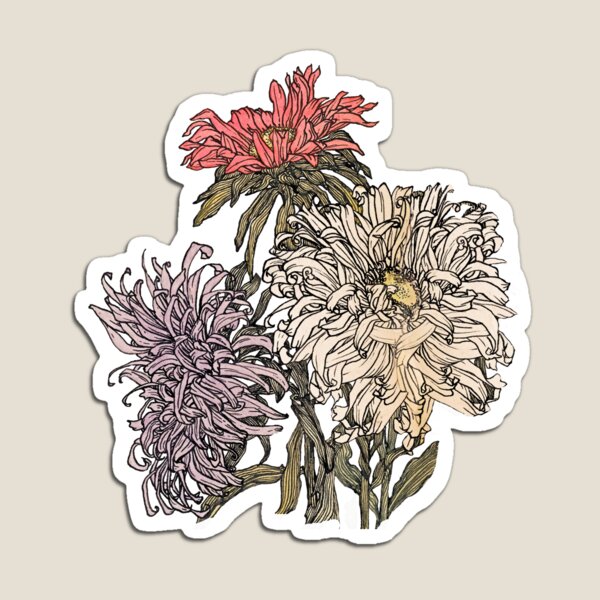 In praise of beauty II Magnet