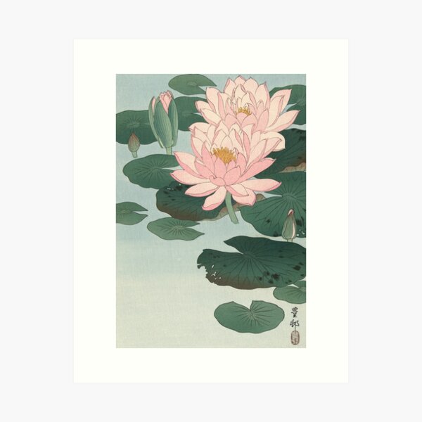 Flowering Water Lily, Ohara Koson Art Print