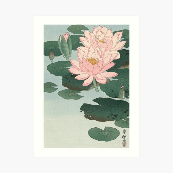 Flowering Water Lily, Ohara Koson Art Print