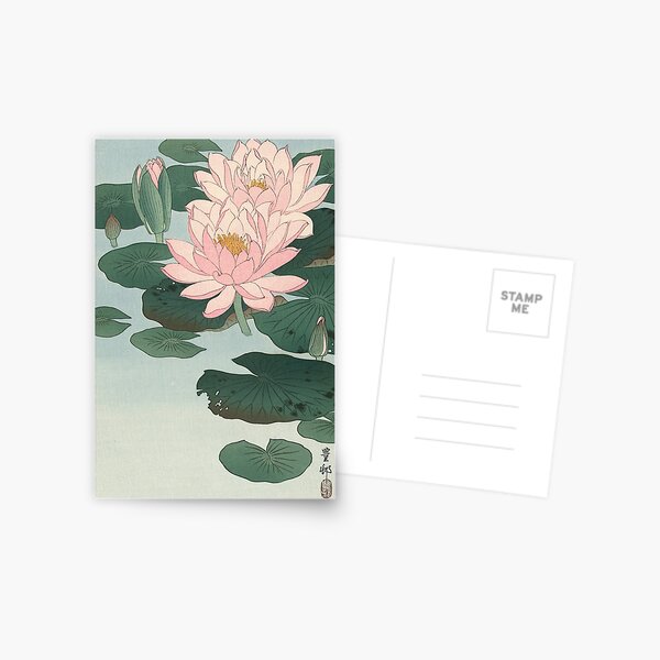 Flowering Water Lily, Ohara Koson Postcard