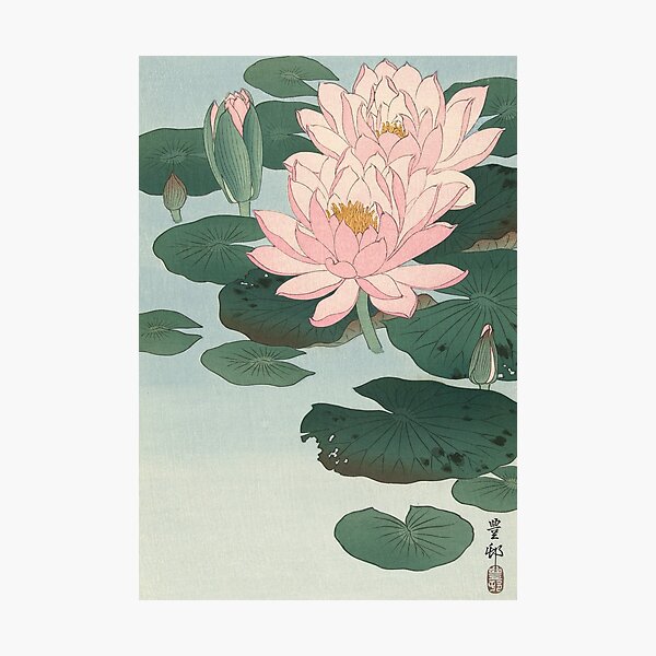 Flowering Water Lily, Ohara Koson Photographic Print