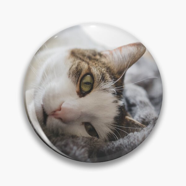 Item preview, Cat On Her Side On Blanket Cutest Cat Pics designed and sold by CutestCatPics.