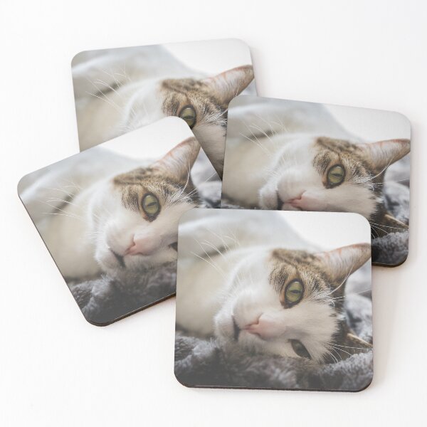 Item preview, Cat On Her Side On Blanket Cutest Cat Pics designed and sold by CutestCatPics.