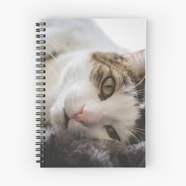 Item preview, Cat On Her Side On Blanket Cutest Cat Pics designed and sold by CutestCatPics.