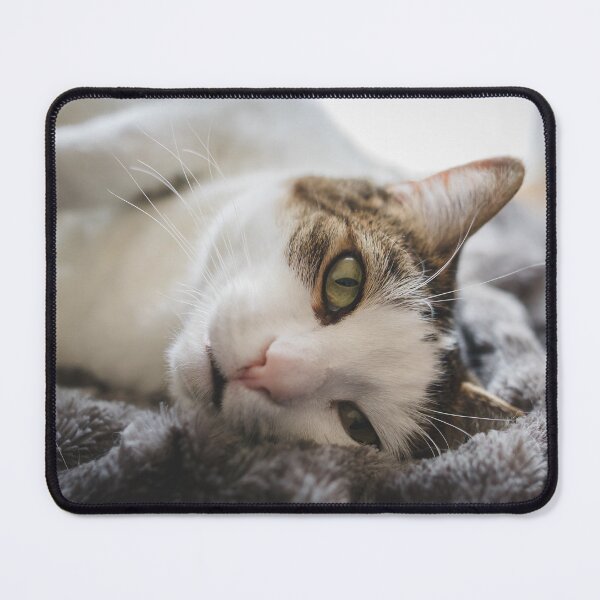 Item preview, Cat On Her Side On Blanket Cutest Cat Pics designed and sold by CutestCatPics.