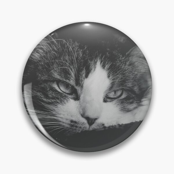 Item preview, Cat Getting Sleepy Black And White Cutest Cat Pics designed and sold by CutestCatPics.