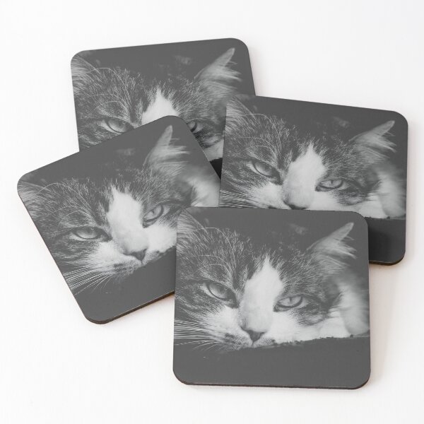 Item preview, Cat Getting Sleepy Black And White Cutest Cat Pics designed and sold by CutestCatPics.