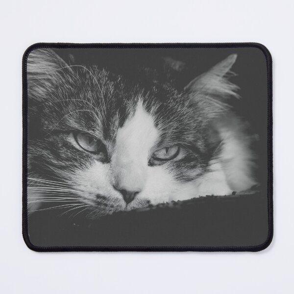 Item preview, Cat Getting Sleepy Black And White Cutest Cat Pics designed and sold by CutestCatPics.