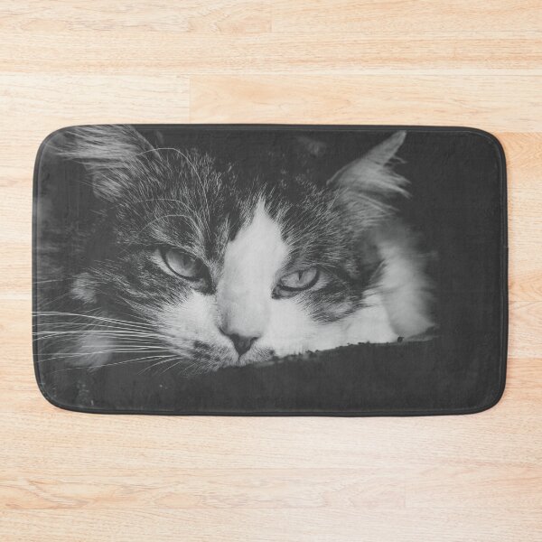 Item preview, Cat Getting Sleepy Black And White Cutest Cat Pics designed and sold by CutestCatPics.