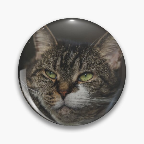 Item preview, Cat Relaxing On Blanket Cutest Cat Pics designed and sold by CutestCatPics.