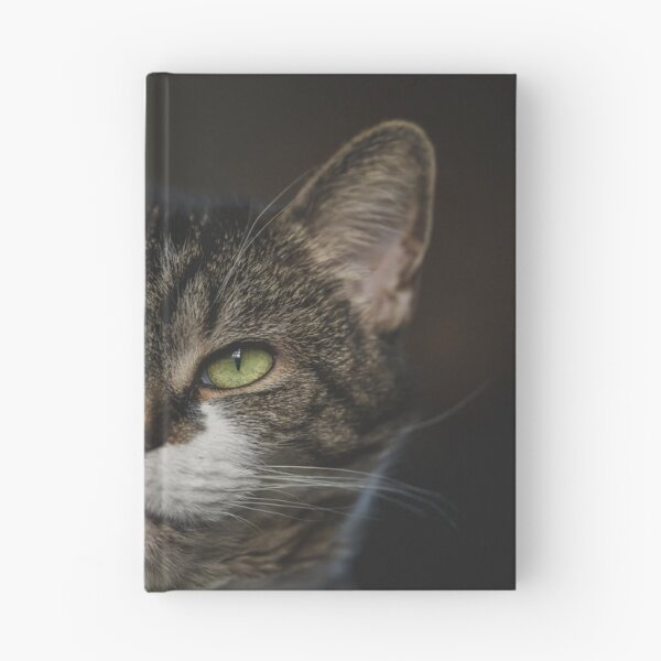 Item preview, Cat Relaxing On Blanket Cutest Cat Pics designed and sold by CutestCatPics.