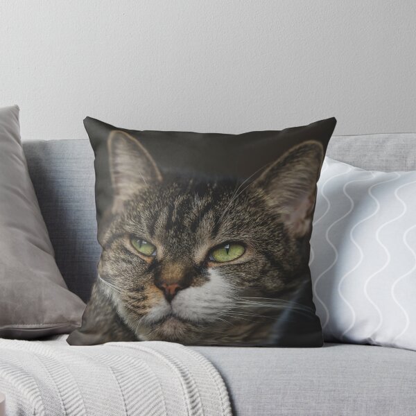 Item preview, Cat Relaxing On Blanket Cutest Cat Pics designed and sold by CutestCatPics.