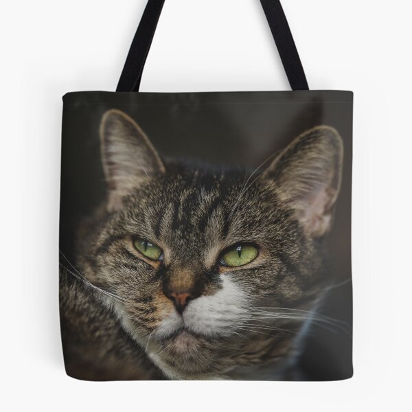 Item preview, Cat Relaxing On Blanket Cutest Cat Pics designed and sold by CutestCatPics.