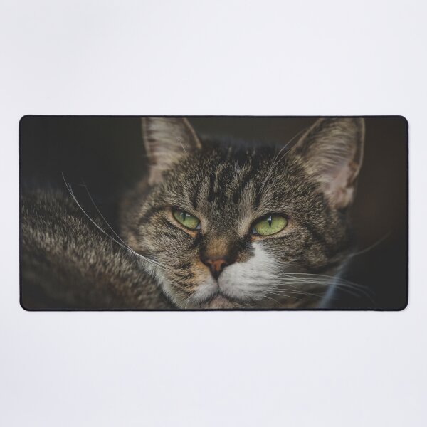 Item preview, Cat Relaxing On Blanket Cutest Cat Pics designed and sold by CutestCatPics.
