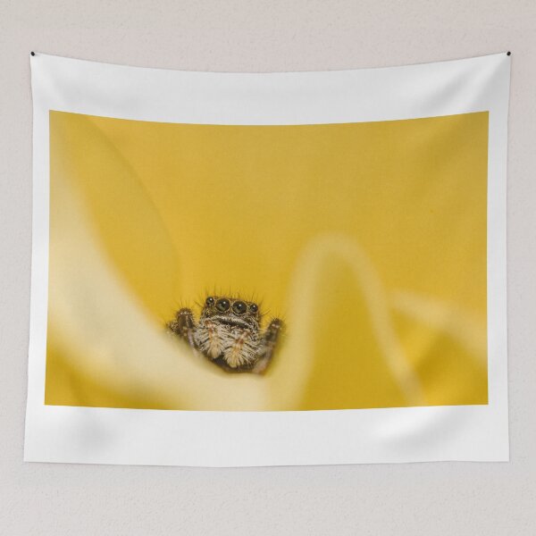 Item preview, Jumping Spider in the Roses designed and sold by LyfIsGrand.