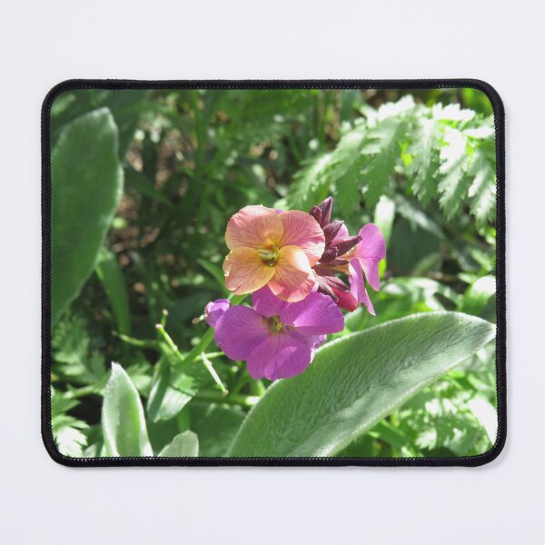 Item preview, Purple wallflowers designed and sold by greentiger1.
