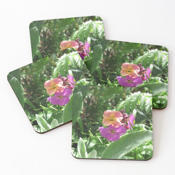 Item preview, Purple wallflowers designed and sold by greentiger1.