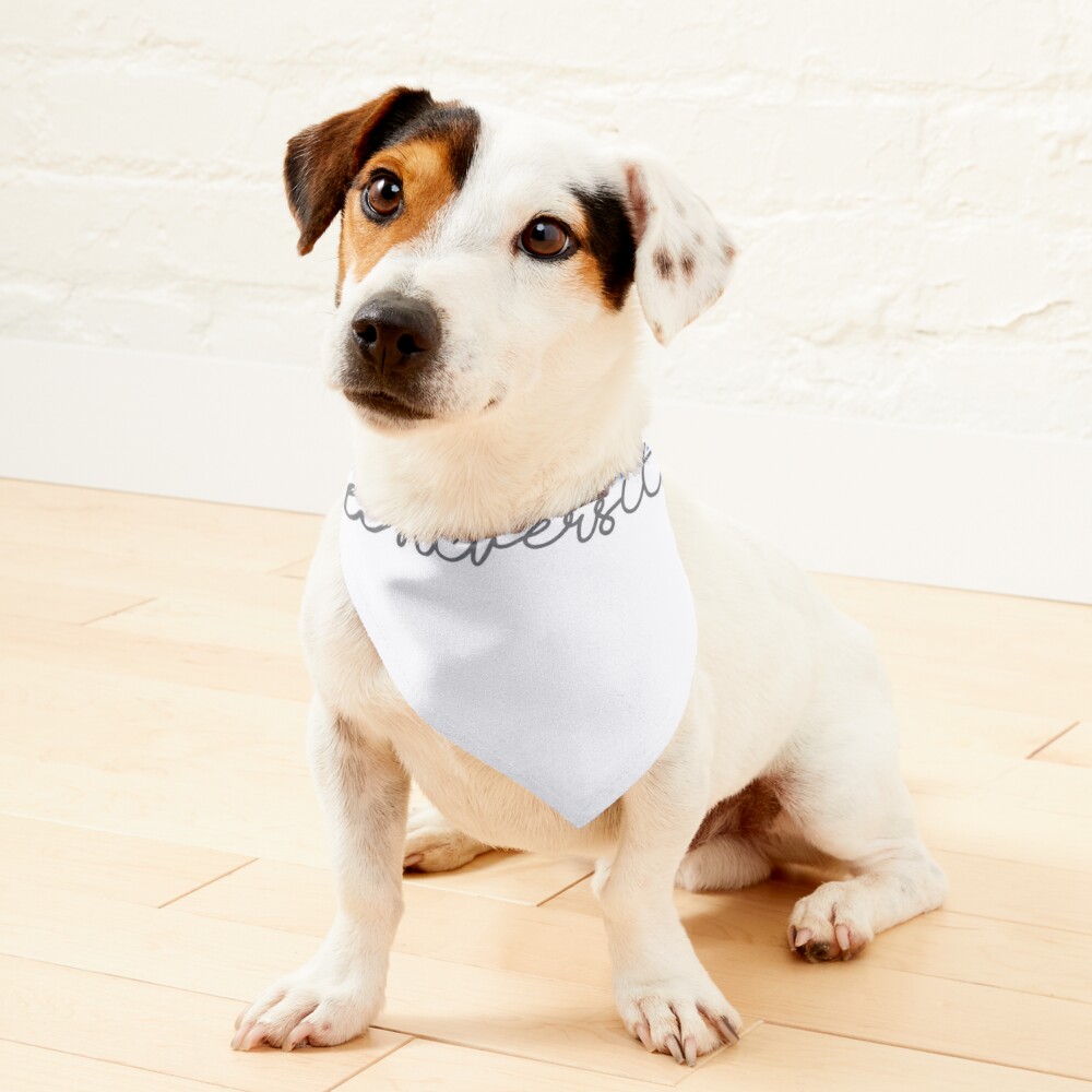 All Star Dogs: Seton Hall University Pet apparel and accessories