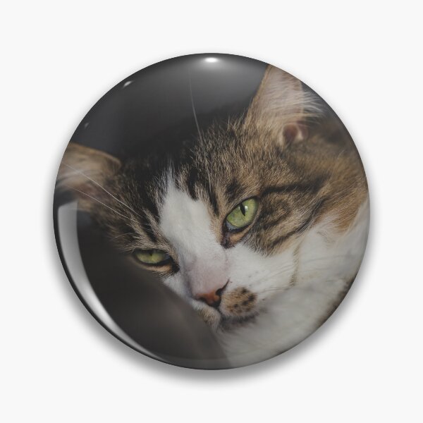 Item preview, Cat Relaxing On Pillow Cutest Cat Pics designed and sold by CutestCatPics.