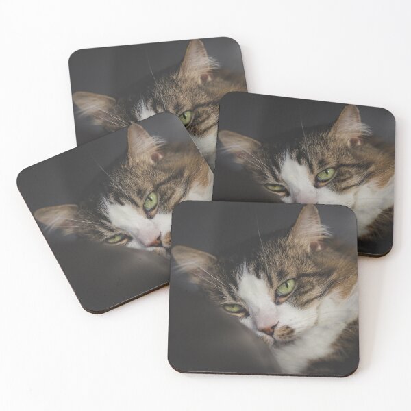 Item preview, Cat Relaxing On Pillow Cutest Cat Pics designed and sold by CutestCatPics.
