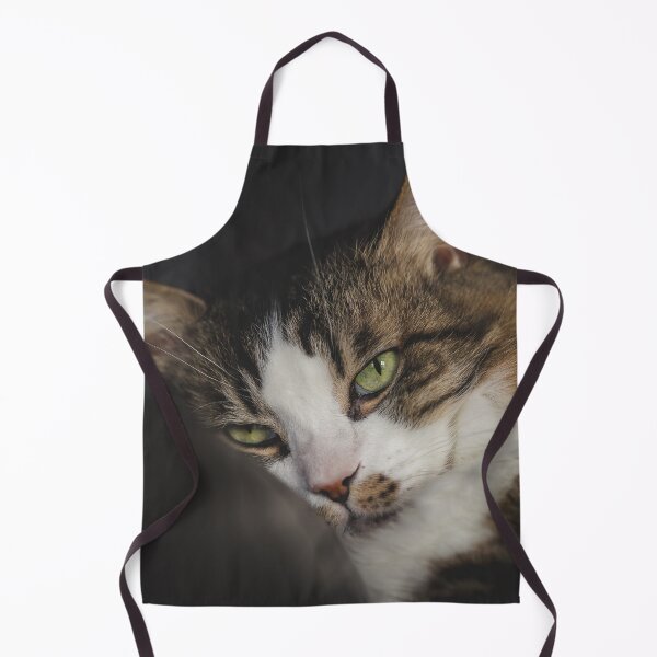 Item preview, Cat Relaxing On Pillow Cutest Cat Pics designed and sold by CutestCatPics.