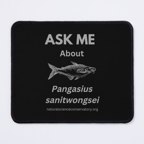 Item preview, Ask Me About Pangasius sanitwongsei Giant Pangasius Catfish designed and sold by Discovered.