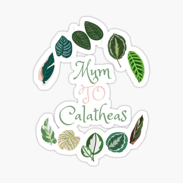 Mum to Calatheas Sticker